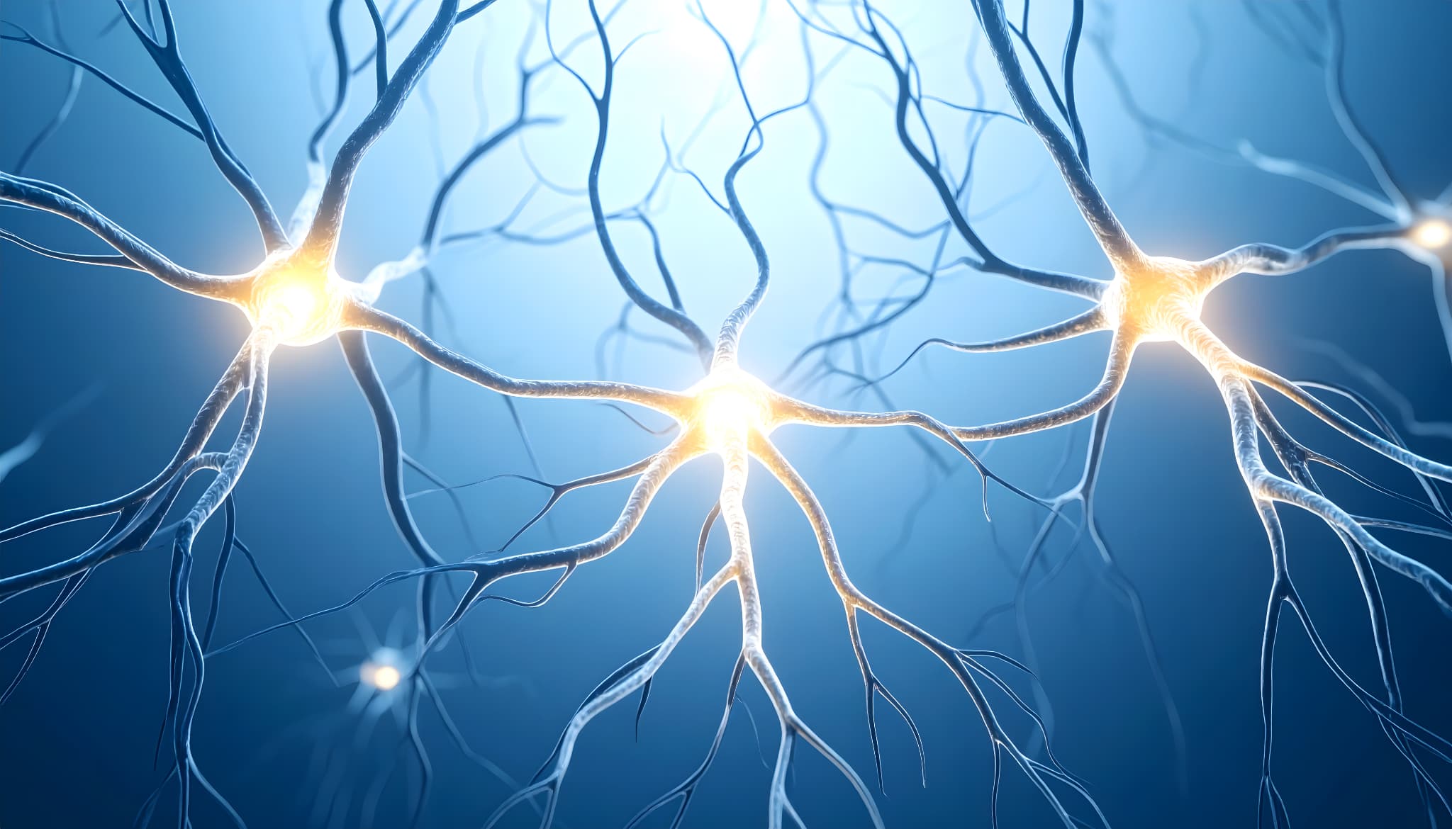 神経のイメージ