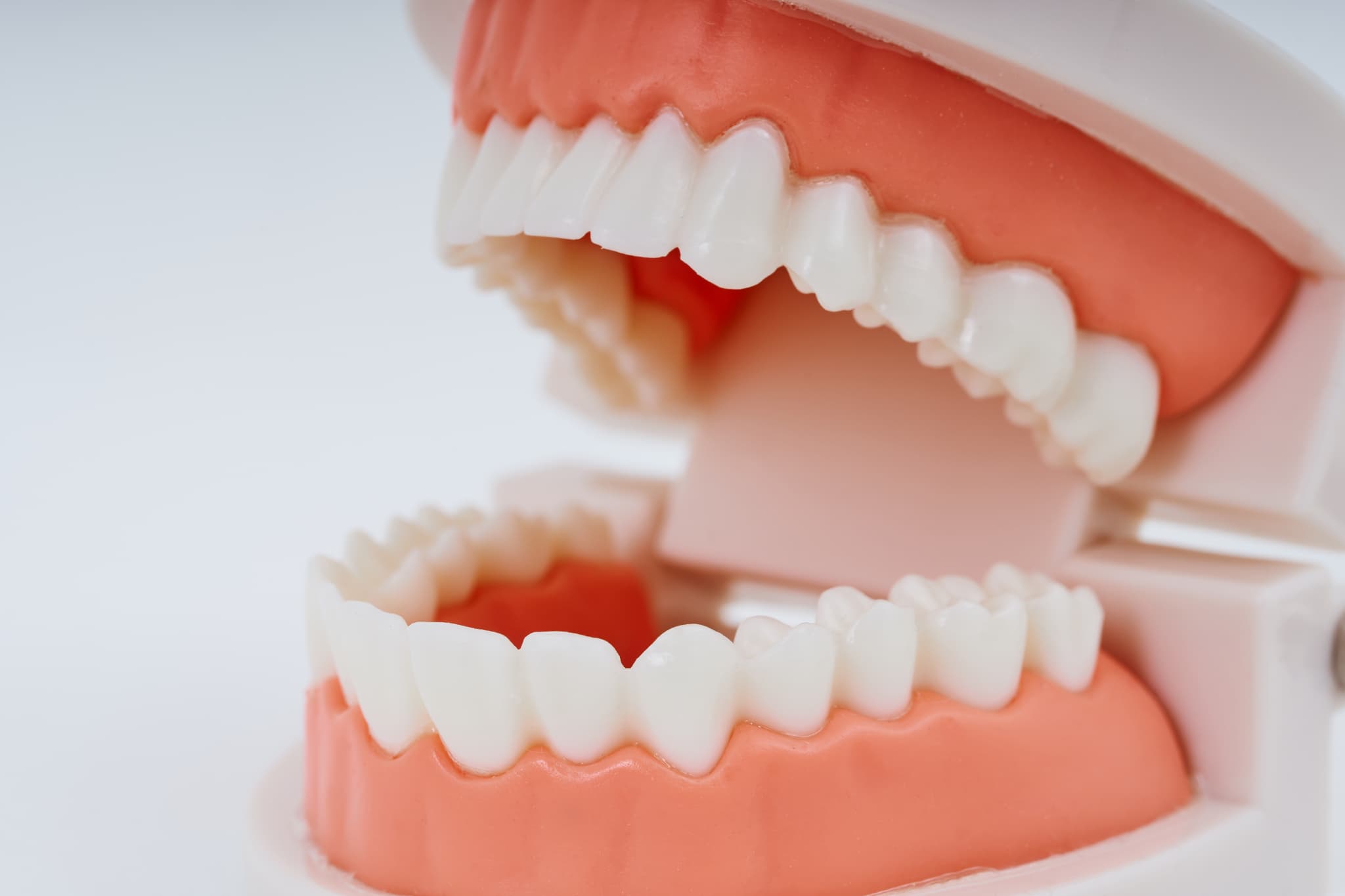 トータルヘルスケアプログラムのイメージ