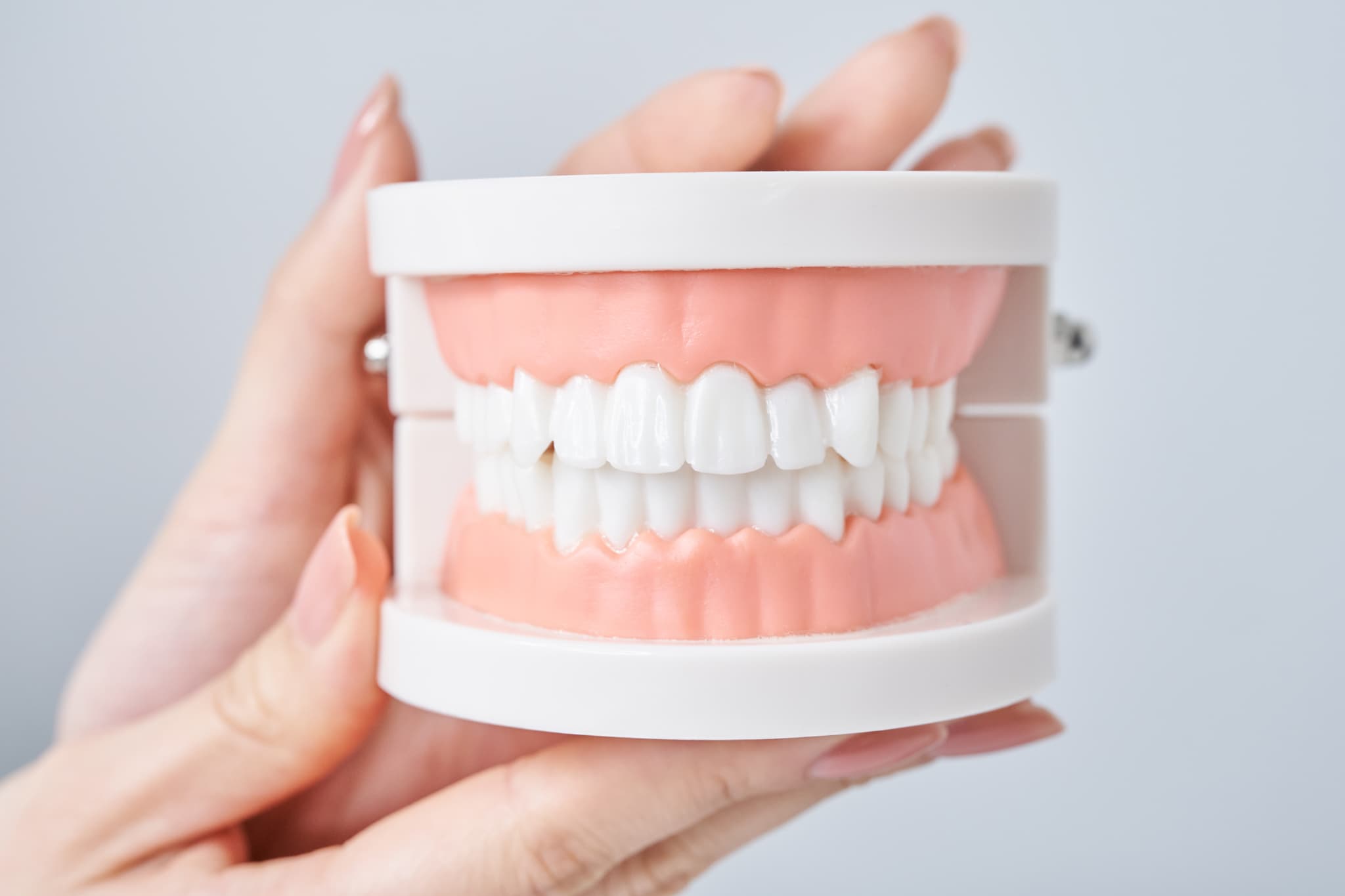 噛み合わせのイメージ