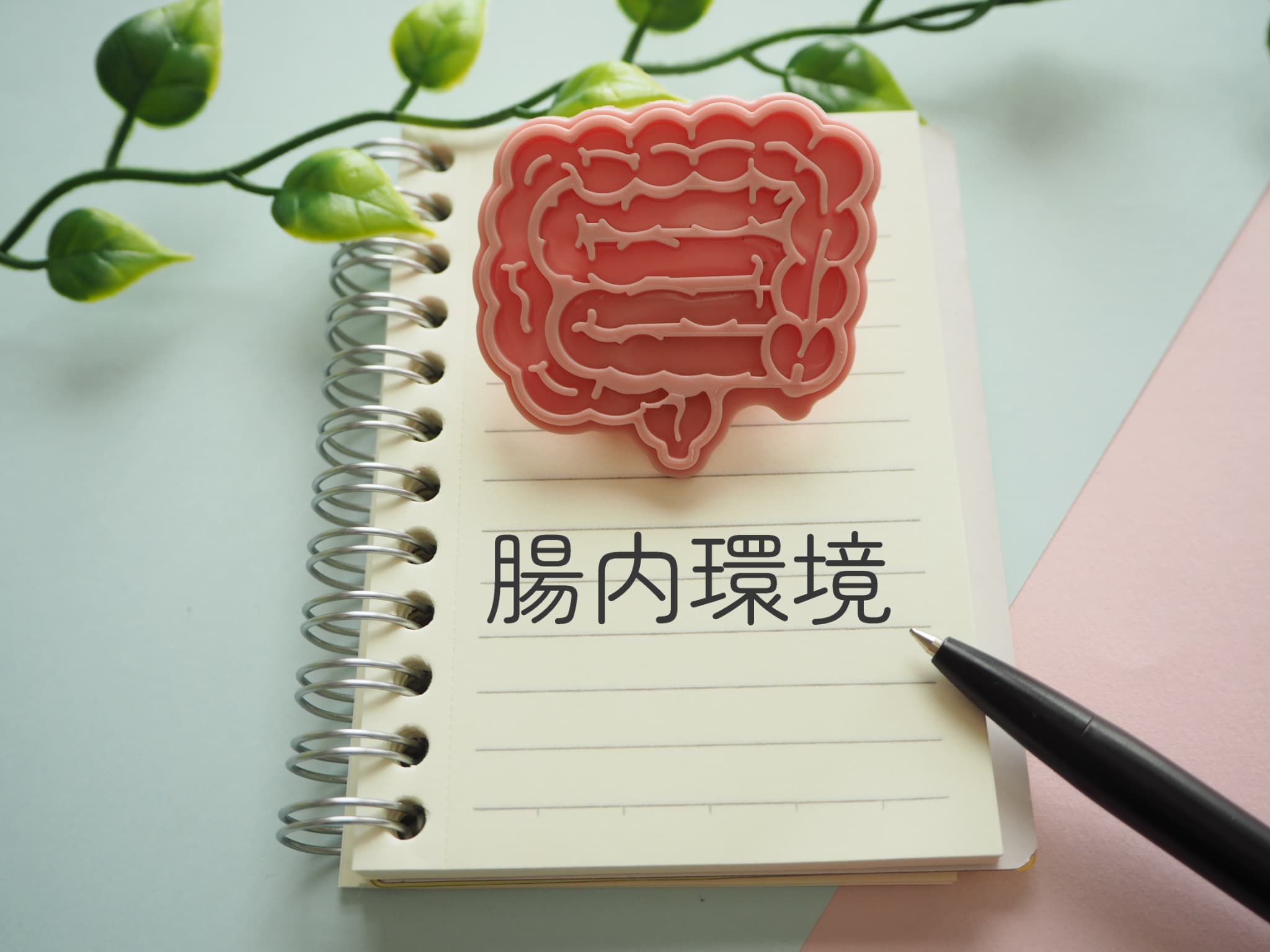 腸内環境のイメージ