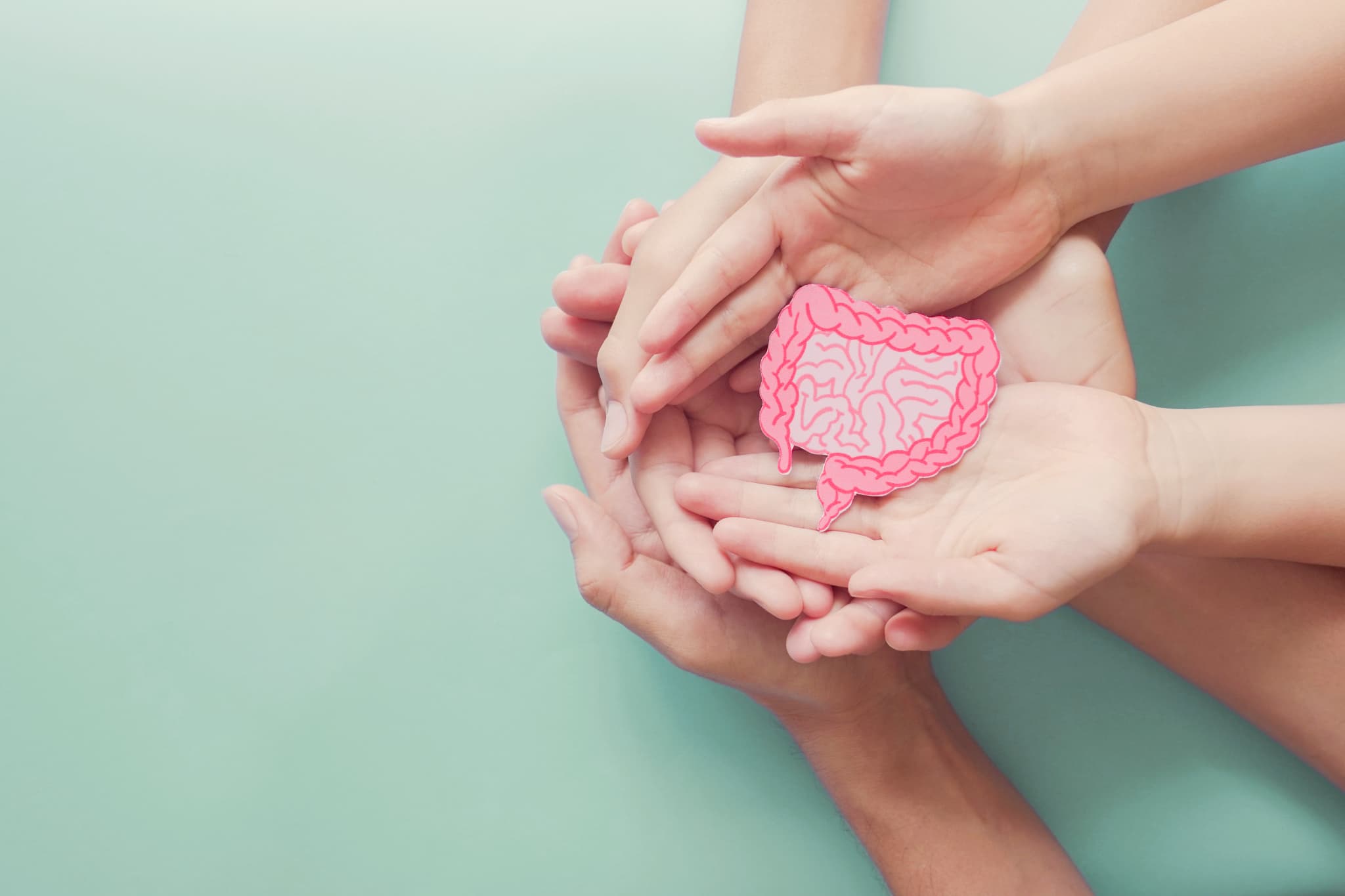 腸を大切にするイメージ