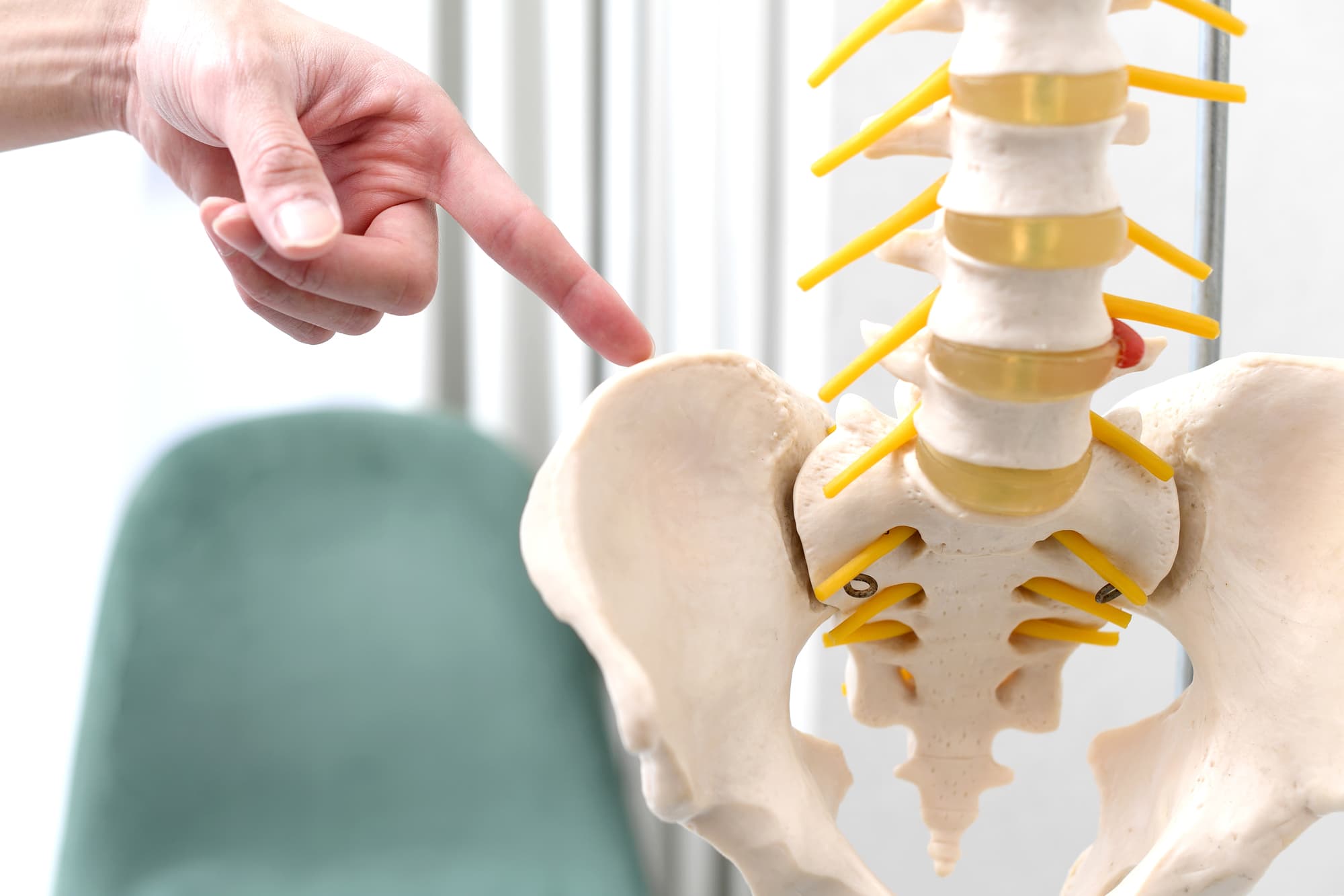 骨盤を指さす医師の手
